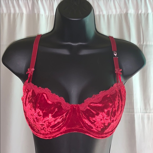 Victoria's Secret Other - NWT Victoria Secret red velvet bra size-34D